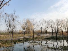 -永定河休闲森林公园