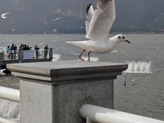 -海埂大坝