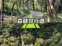 -燕晗山郊野公园