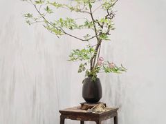 -乐领拈花溪·林涧食韵