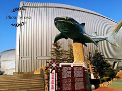 -烟台海昌鲸鲨海洋公园