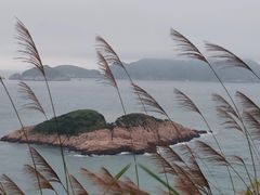 -东极岛景区
