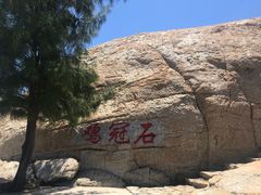 -放鸡岛生态旅游国际度假区