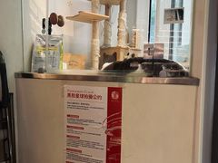 -黑胶星球(华发中城商都店)