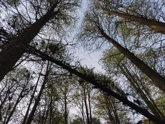 -同里国家湿地公园