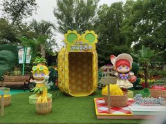 -苏州乐园森林水世界