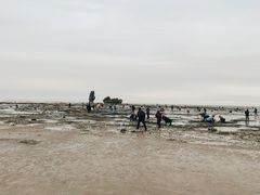 -碣石国家级海洋公园