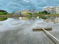 -盐洲岛
