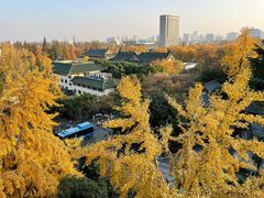 -南京维景国际大酒店(南京博物院店)