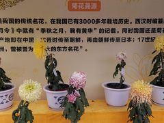 -重庆园博园