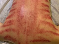 -梧桐栖·养生·spa