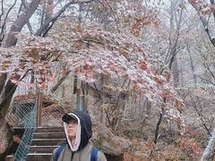 -丹东天桥沟景区