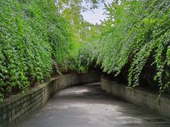 -成都南湖公园
