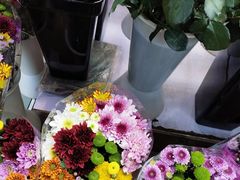 -长春青怡坊鲜花批发(青怡坊花鸟市场店)