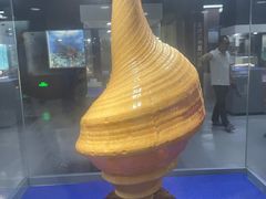 -贝壳王国博物馆