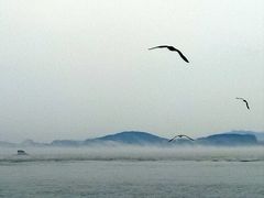 -海驴岛(荣成市)