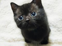 -达爱动物医院·犬猫分区·CT·复杂眼科(远洋山水分院)