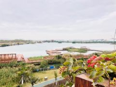 -芒洲湿地公园