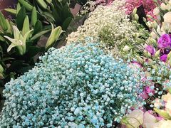 -爱尚幸福鲜花(上地实体店)