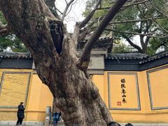 -无锡惠山寺