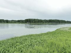 -塞罕坝国家级自然保护区