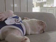 -HIHE Bistro·Oyster Bar(华熙live店)