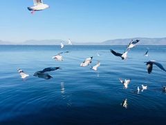 -大理无舍度假酒店