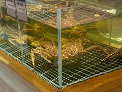 -阿毛饭店·宁波老字号(儿童公园旗舰店)
