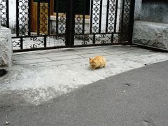 -鼓浪屿风景名胜区-英国领事馆旧址