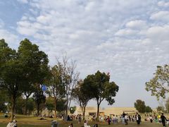 -盘龙城国家考古遗址公园