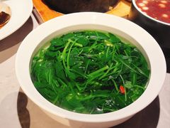 -醉庐·新上海菜(南京西路店)