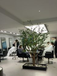 -付军剪艺JF ProSalon