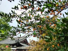 -常熟方塔园