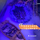 永远在“小步迭代”的十里堡盒马