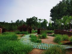 -东郊湿地公园