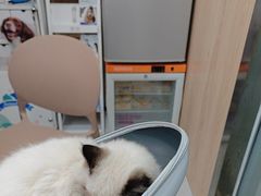 -恒幸动物医院·急重症转诊中心·神经内外科·CT核磁