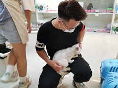 -lincat·猫舍(广州店)