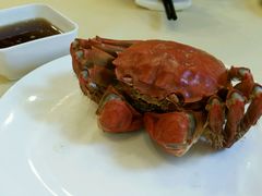 -王宝和酒家(黄浦店)