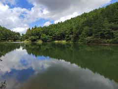 -四明山国家森林公园
