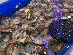 -澜悦港海鲜体验主题餐厅