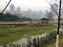 -沐仙湖湿地公园