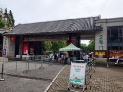 -上海海湾国家森林公园