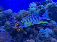 -成都浩海立方海洋公园