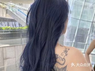 蓝黑色”，蓝黑色其 实就是黑色中带点蓝色调的染发颜色