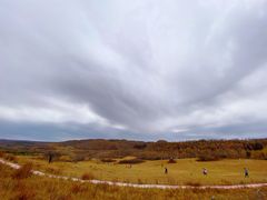 -塞罕坝国家级自然保护区