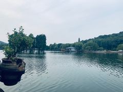 -东湖食堂·湖景餐厅•会议