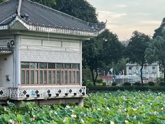 -荔湾湖公园