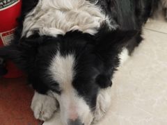 -哈尔滨北方国际青年旅舍(中央大街店)