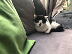 -虚荣精酿酒屋(五羊店)