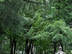 -木塔寺遗址生态公园